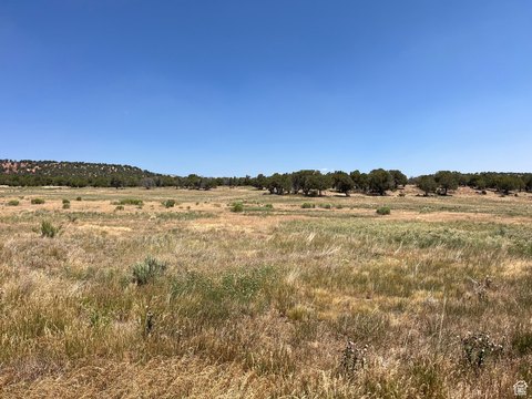 20 Acres in Fruitland, Utah
