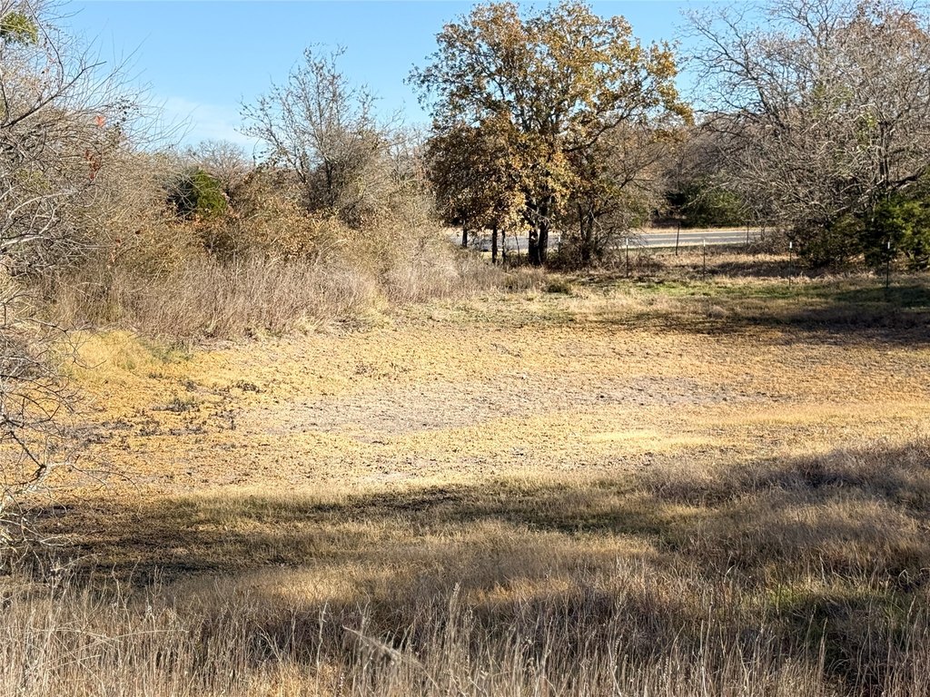 Picture 9