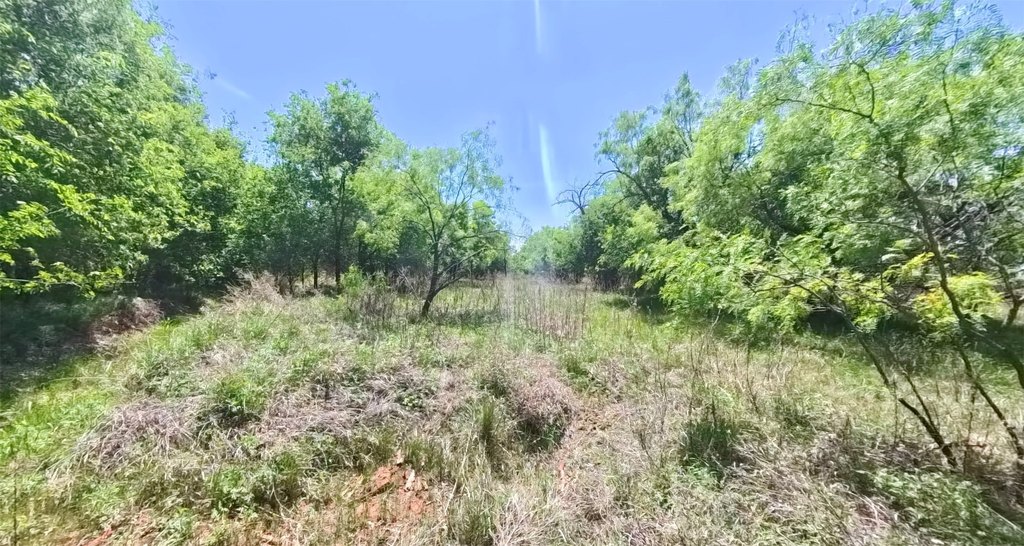 Picture 30