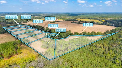 Vacant Land in Florala, AL