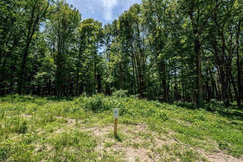 Residential Land in Cheat Lake