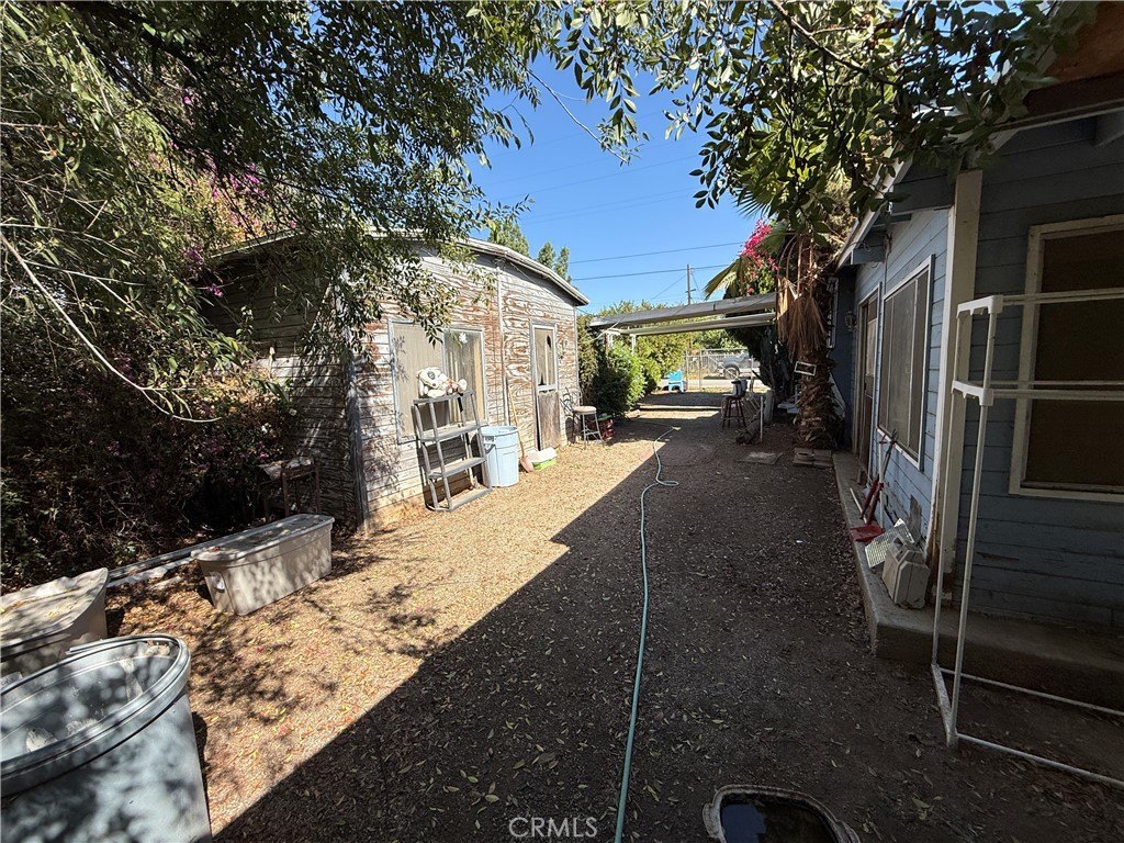 Picture 15