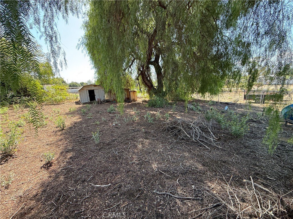 Picture 3