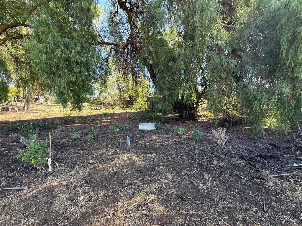 Picture 22