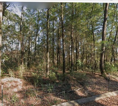 LAND - Level Plains, AL