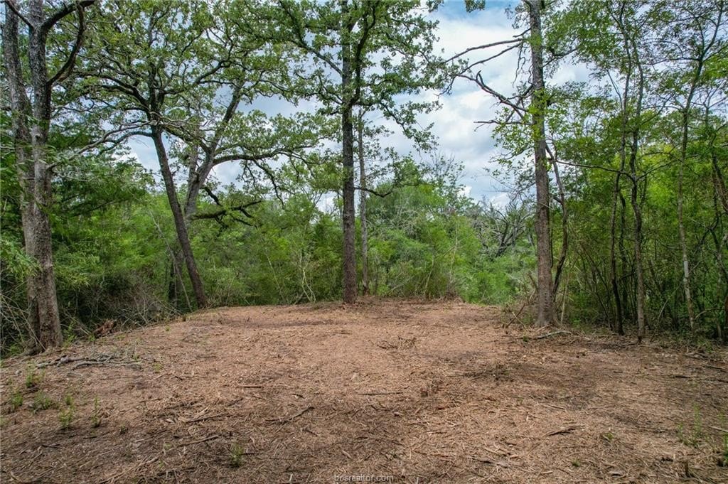Picture 9
