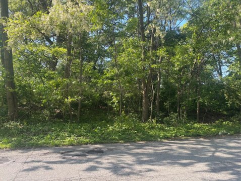 Wooded Lot with River Frontage