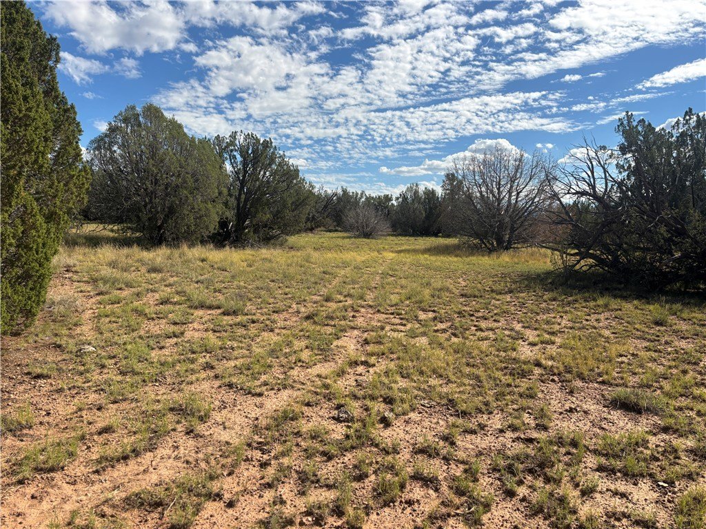 Picture 26