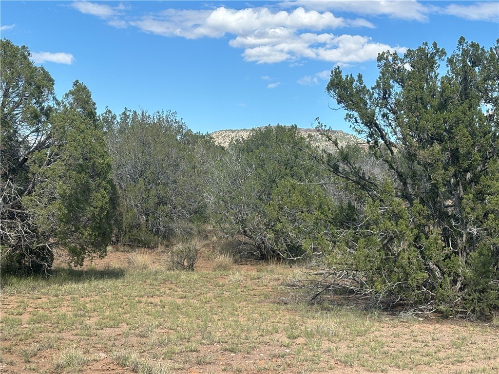 Picture 9