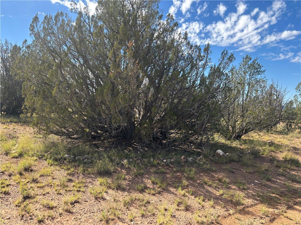 Picture 29
