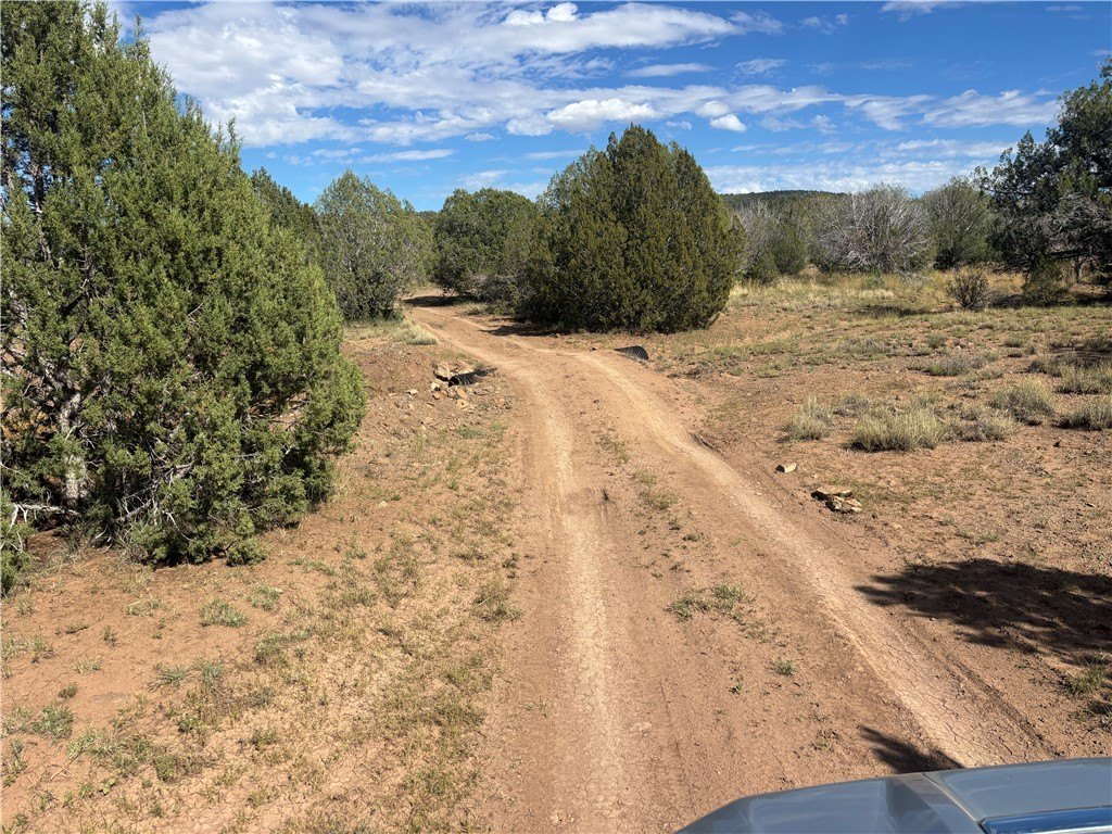 Picture 19