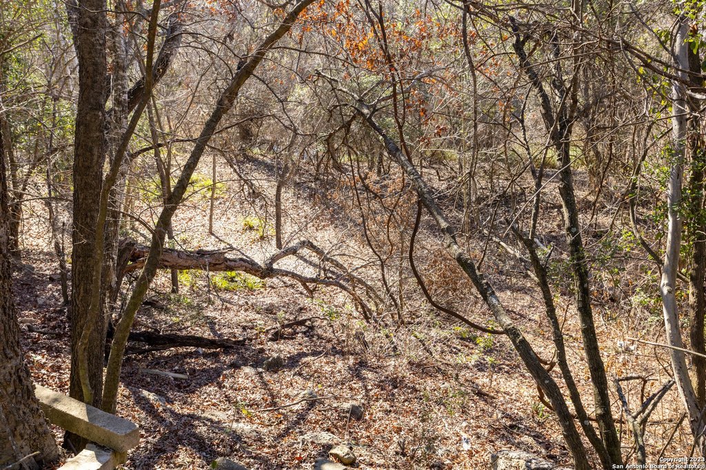 Picture 14