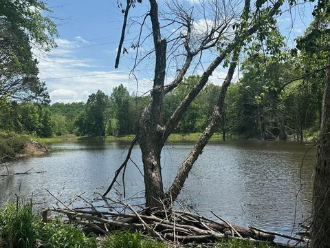 Vacant Land, Quitman, AR