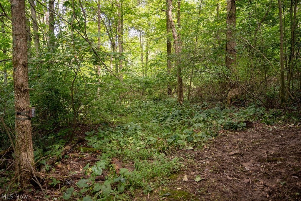 Picture 32