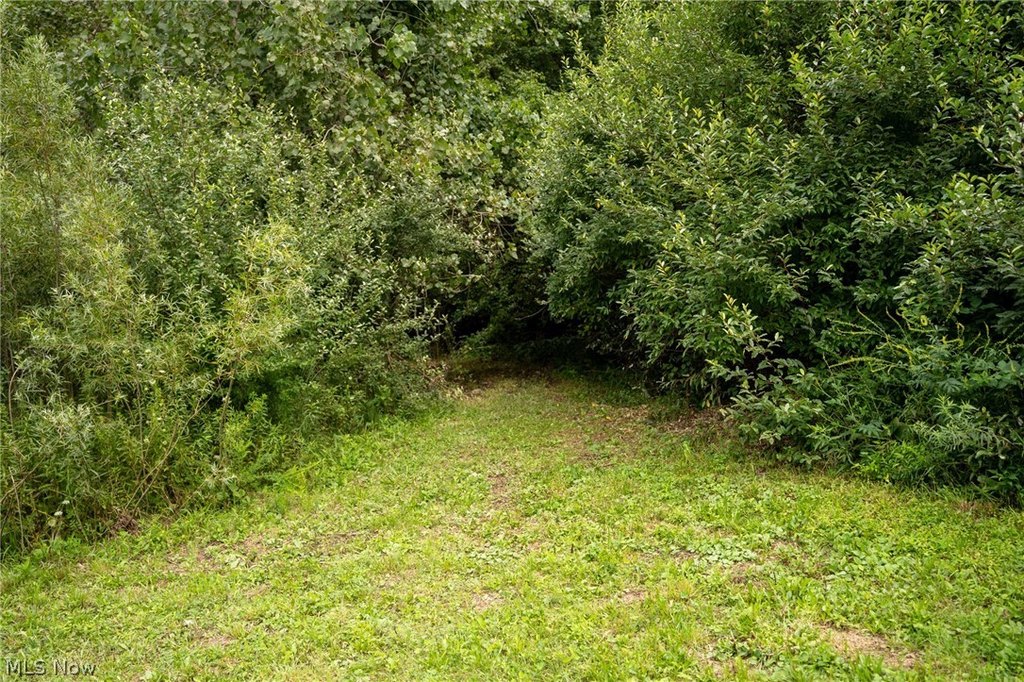 Picture 7
