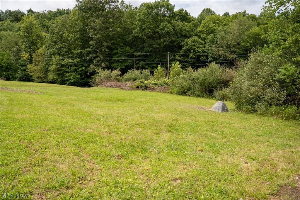 Picture 27