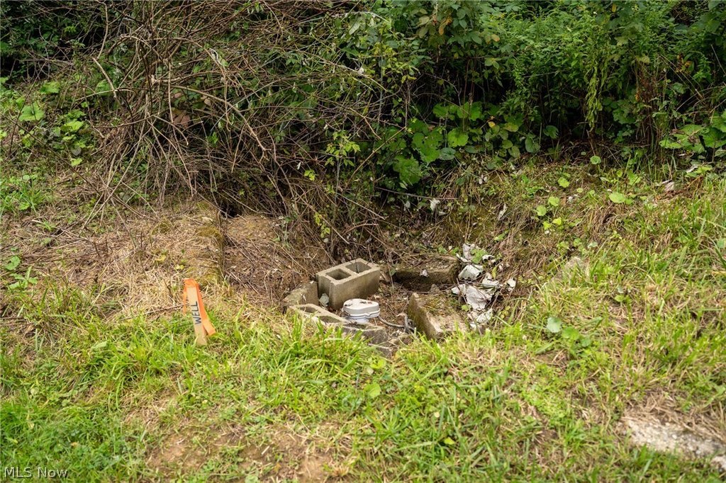 Picture 22
