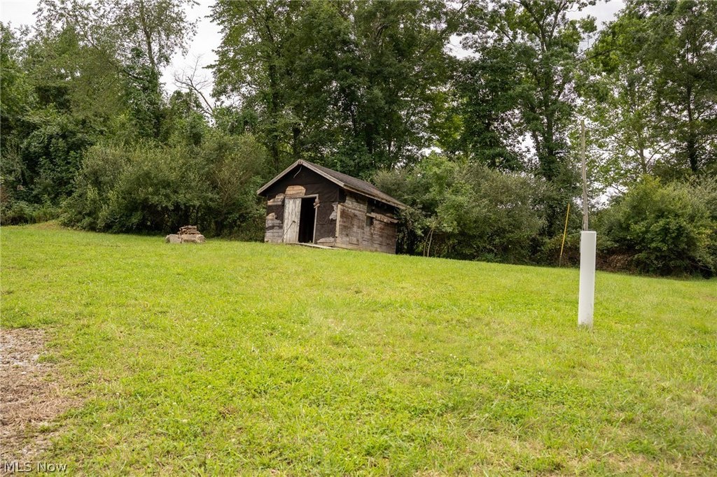 Picture 19