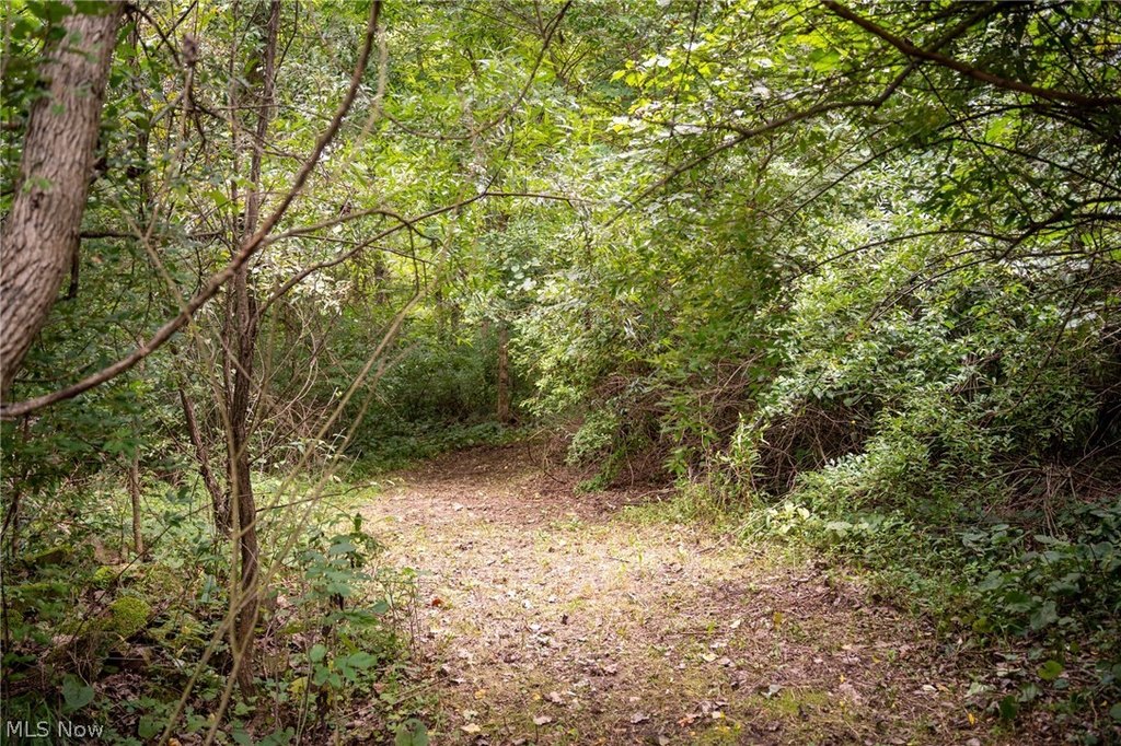 Picture 5