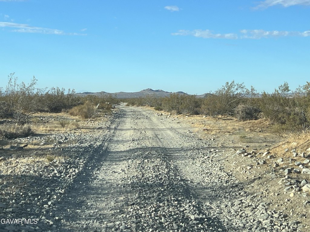 Picture 21