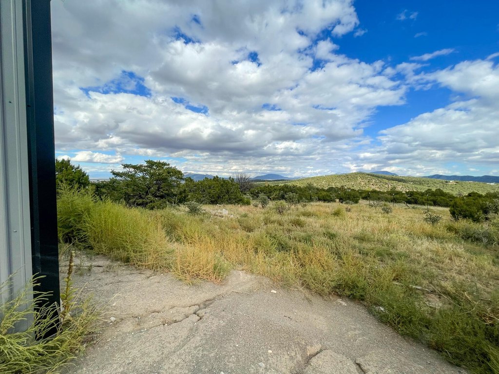 Picture 19