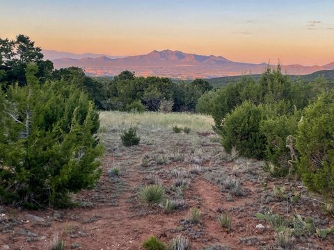 LAND - Sandia Park, NM