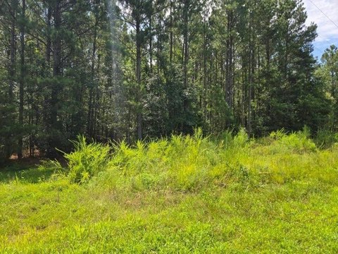 LAND, Waterloo, SC