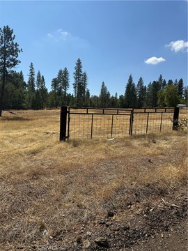 Coulterville Land with Development Potential