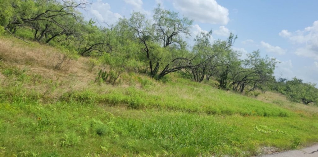Picture 7