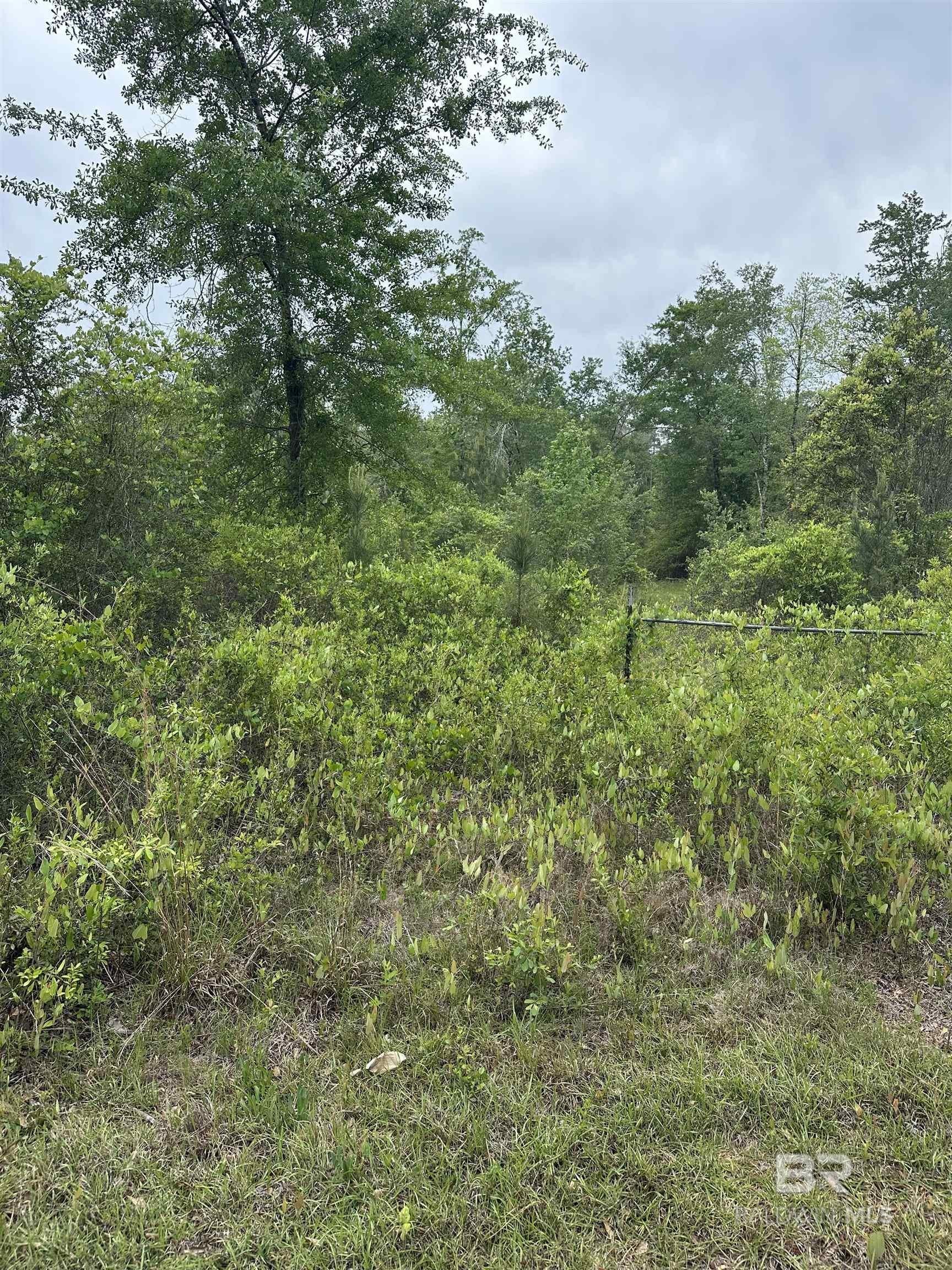 Land in Rural Wooded Setting