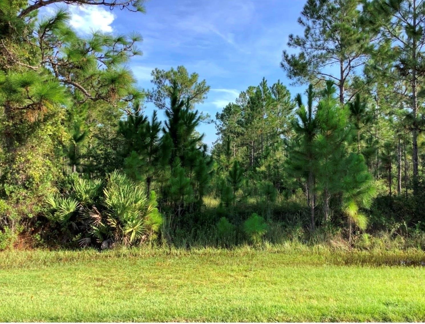 Vacant Lot in Wedgefield