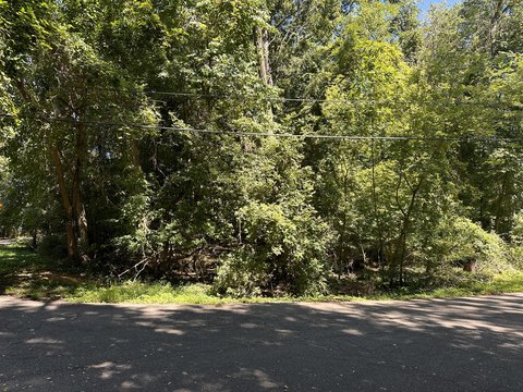 Emerald Lake Building Lot