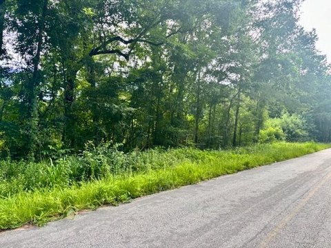 Land in Adams Run, SC