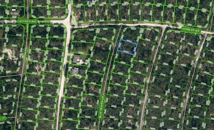 Residential Land in Lake Placid