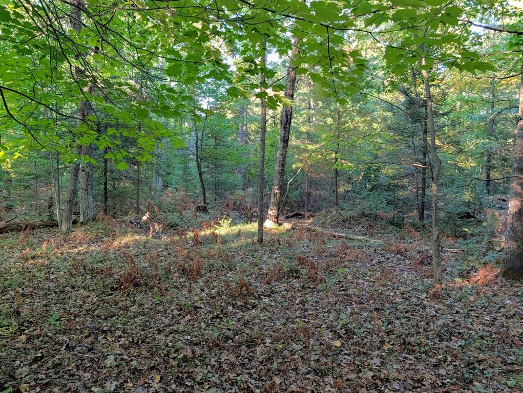 Picture 8