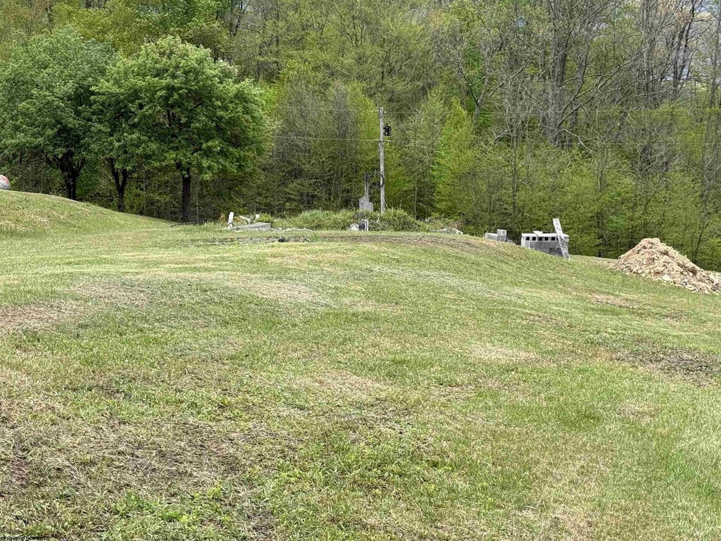 Picture 13