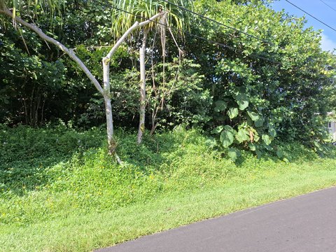 Land, Pahoa, HI