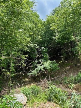 LAND - Broken Bow, OK