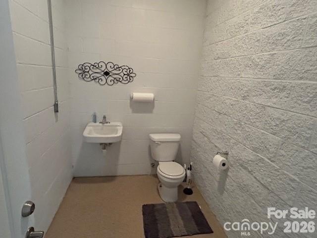 Picture 17