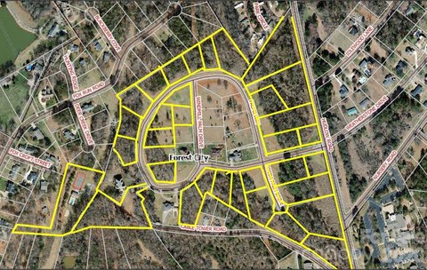Commercial Sale, Forest City, NC
