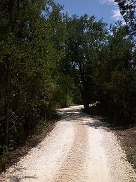 Hico, TX Wooded Ranch Land