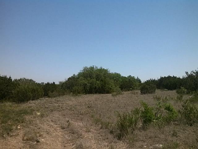 Picture 4