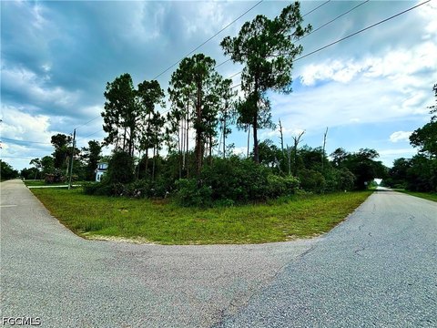LAND - Alva, FL