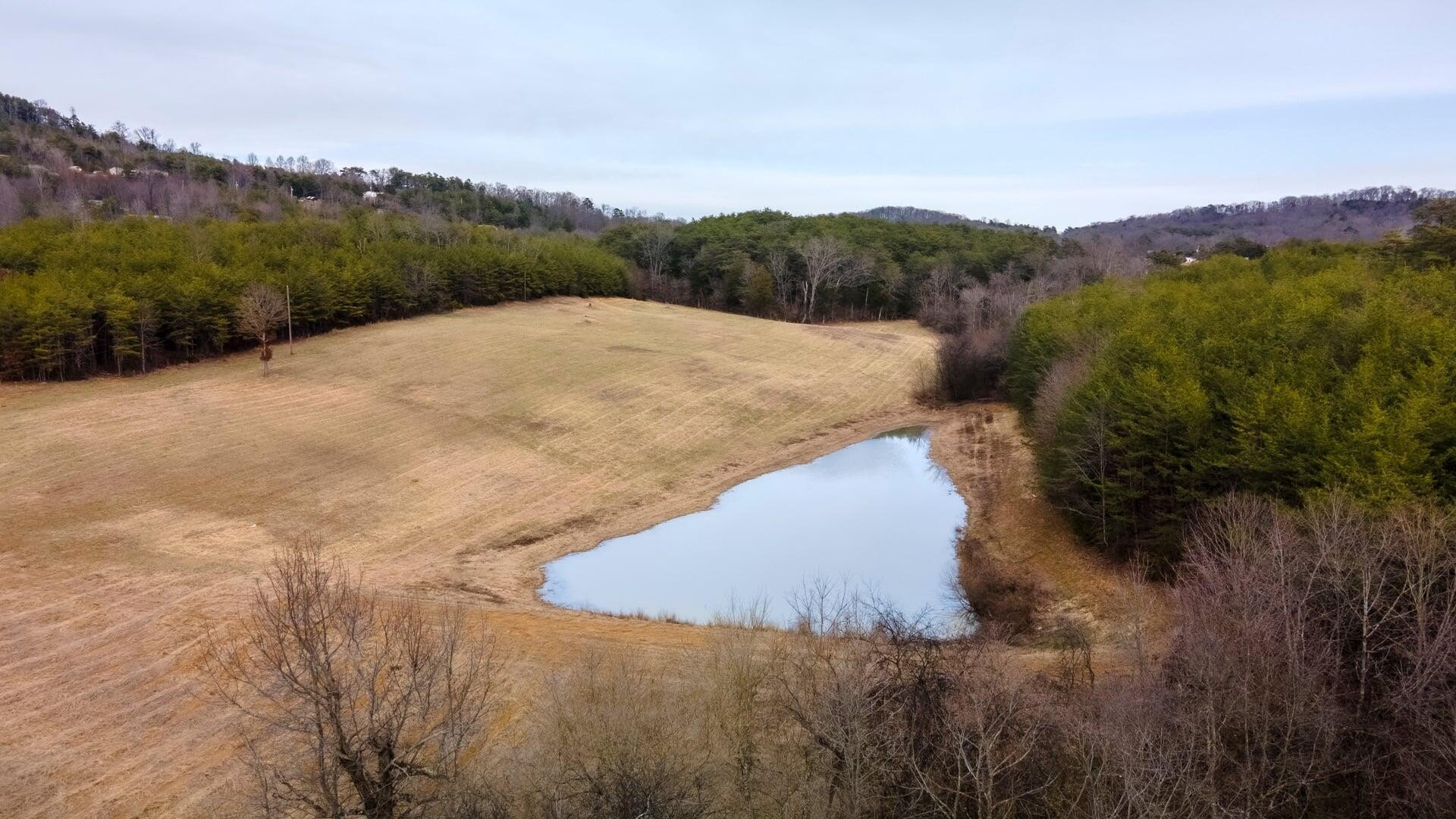 Dandridge, TN Acreage with Pond