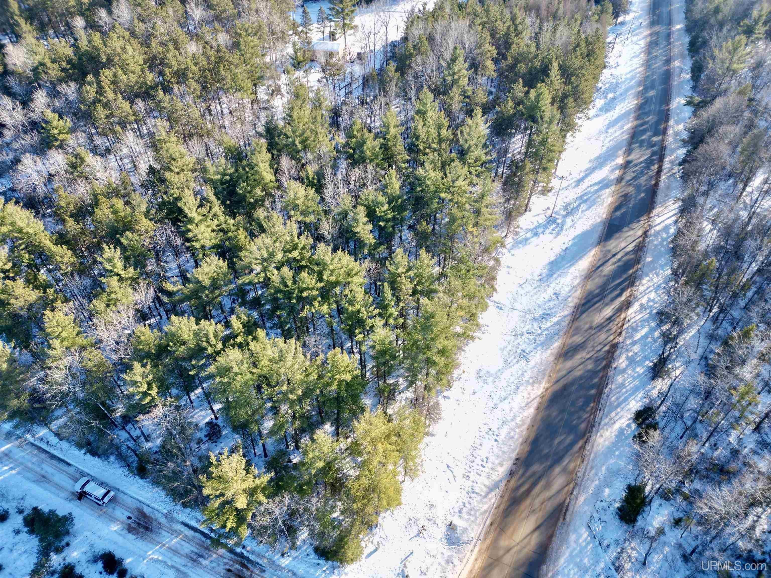 Wooded Land Parcel in Daggett