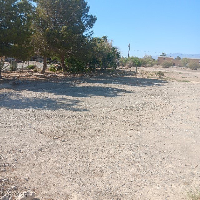 Picture 4