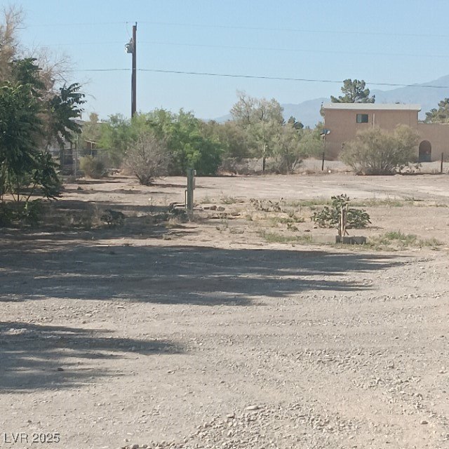 Picture 8