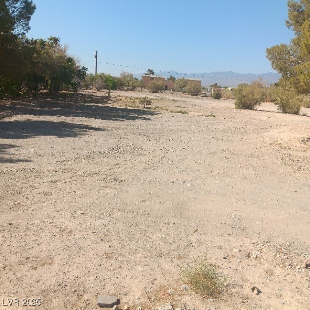 Picture 5