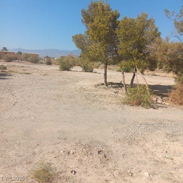 Picture 6