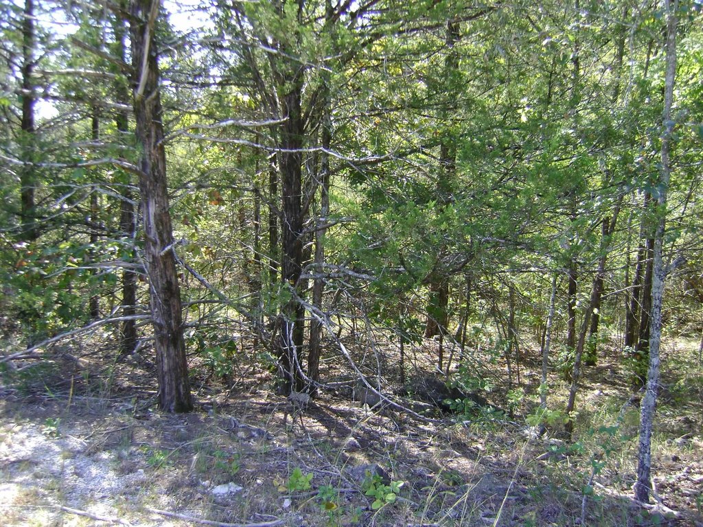 Picture 8